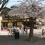 Fernwood Square