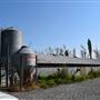 Aziza Property