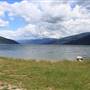 Adams Lake Campsites 39 km