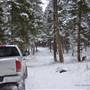 Turner Ranch Forest & Open Fields Winter and Fall