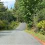 Quadra Island roads, trees and scenes