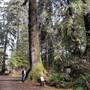 Quaste Regional RV Park and Campground