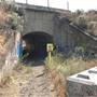 Savona Tunnel under Train Tracks