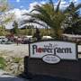 EXOTIC FLOWER FARM