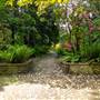 Milner Gardens (Gardens and Boardwalk)