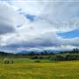 Scotchtown Road Vista