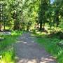 Coombs Log House Trails