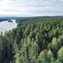 John Hart Lake Forest & Trails