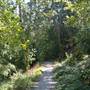 Scott Kenny Trail - from Fairgrounds to Tebo Avenue