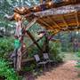 Kitty Coleman Woodlands - Christmas Displays
