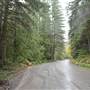 Nahmi Forest Service Road & Alberni Motorsports Park