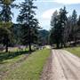 Field of Dreams Wedding Venue - Landscapes and Acreage
