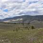 *Skeetchestn Desert above Rodeo Grounds to Treeline with Rocky Areas