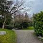 Hastings Park - Momiji Garden