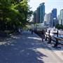 Coal Harbour Seawall