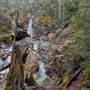 BEGBIE FALLS & RAINFOREST