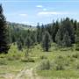 AROSA RANCH FOREST