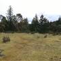 Earthspring Sanctuary Retreat Centre