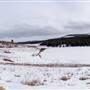 Lundbom Commonage Marquart Lake JANUARY