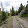 Hamilton Hill Fire Lookout - Road Top to Bottom
