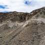 McAbee Fossil Beds