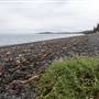 Devonian Regional Park
