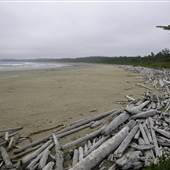 Combers Beach - PRNP