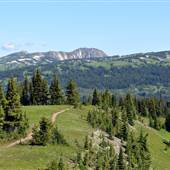 ALPINE MEADOWS MANING PARK