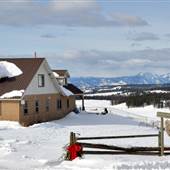 HARFMAN RANCH ( Winter )