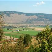 Wagon Wheel Corn Farm