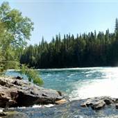 Bailey's Chute Rapids & Trail