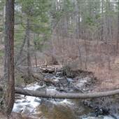 Hiwan Ranch Creek, Path & Small Waterfall