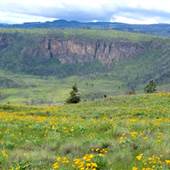 Skull Mountain Blue Grouse Ridge Trail