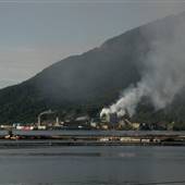 Western Pulp Mill