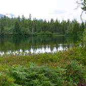 Star Lake
