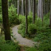 Marble River Provincial Park