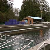 Robertson Creek Fish Hatchery