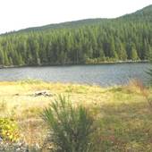 Lizard Lake
