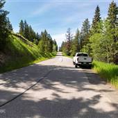 Long Lake Road EARLY SUMMER