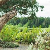 The Gardens at HCP