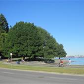 Stanley Park - Open Field