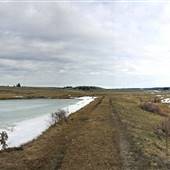 Kullagh Road Grasslands - Newman Dam & Log Barn 05  MARCH