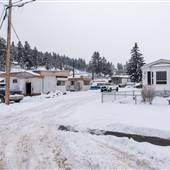 Cariboo Avenue Trailer Park