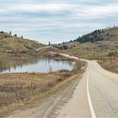 COMMONAGE ROAD -March