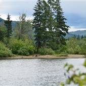 Adams Lake Provincial Park Tent Camping