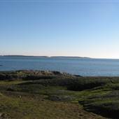 Cattle Point