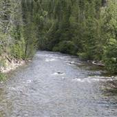 Sprage Creek into North Barriere Lake