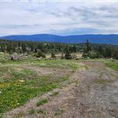 Deadman Junction - Road on North side of Property