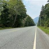 Gold River Mill Road