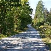 Beaver Creek Road